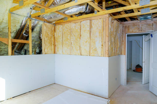 Best Insulation for Specific Applications in Tavares, FL