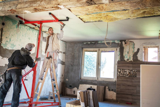 Best Types of Insulation in Tavares, FL